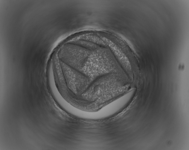 X0000091961168200710041022
