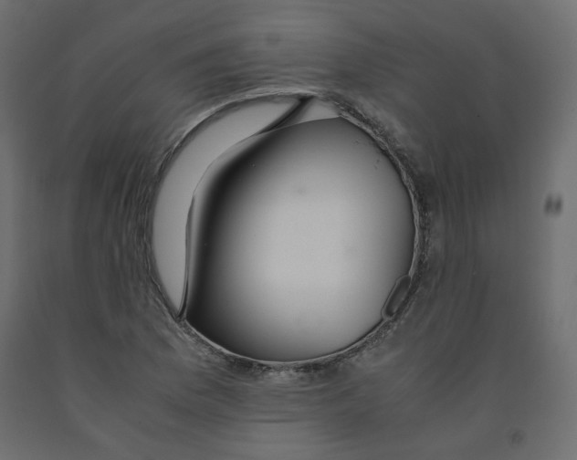X0000091961169200710041022