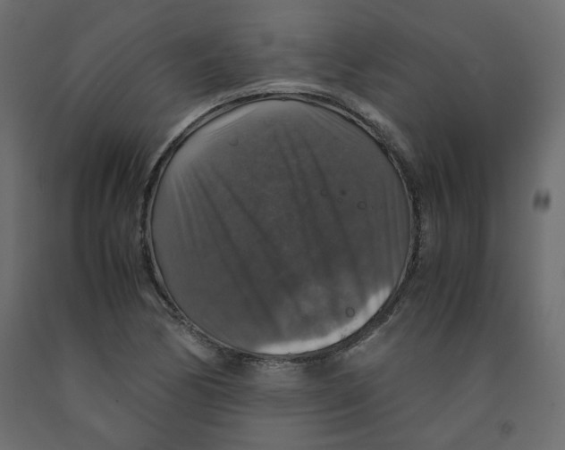 X0000091961170200710041022