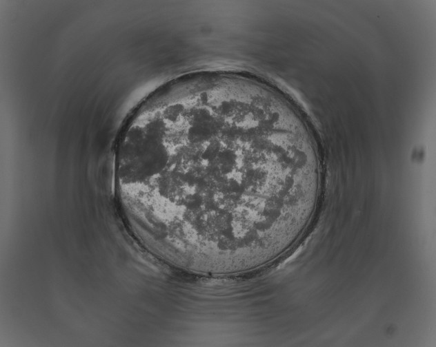 X0000091961171200710041022