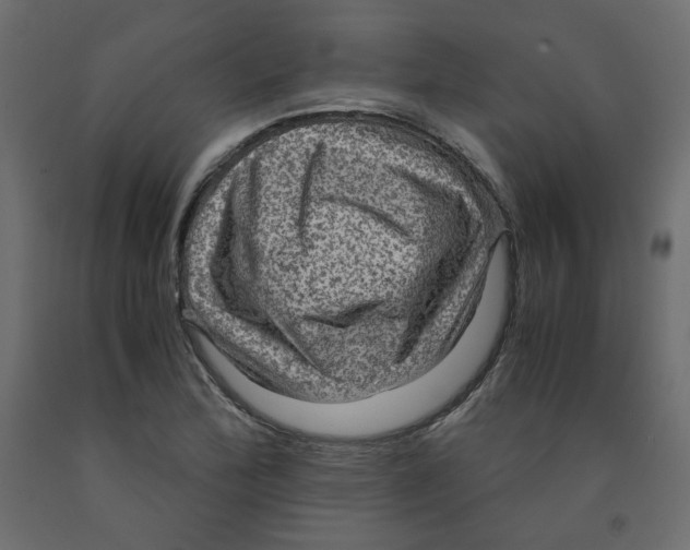 X0000091961172200710041022