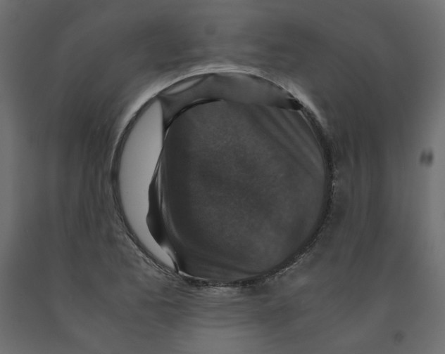 X0000091961173200710041022
