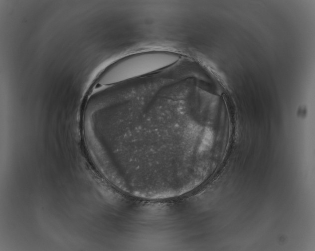 X0000091961174200710041022