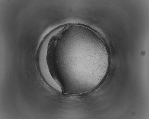X0000091961175200710041022