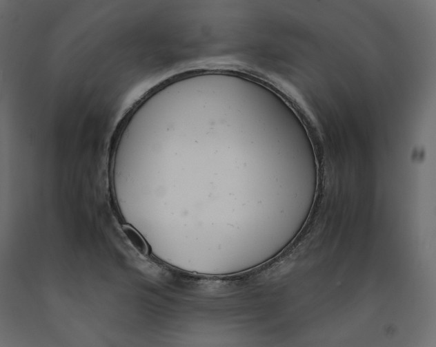 X0000091961176200710041022