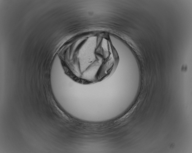 X0000091961177200710041022