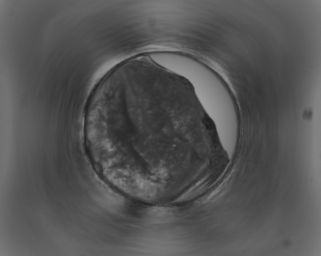 X0000091961179200710041022
