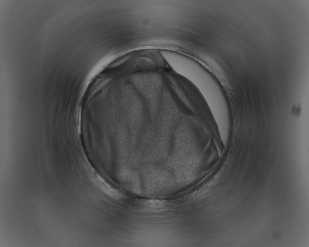 X0000091961180200710041022
