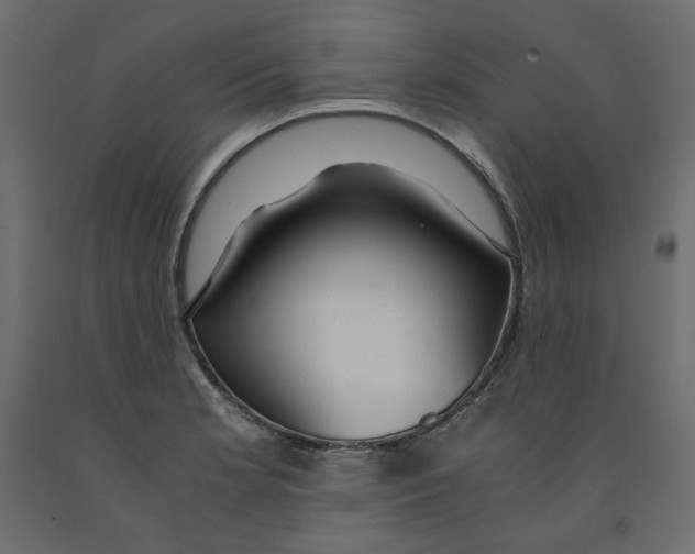 X0000091961181200710041022