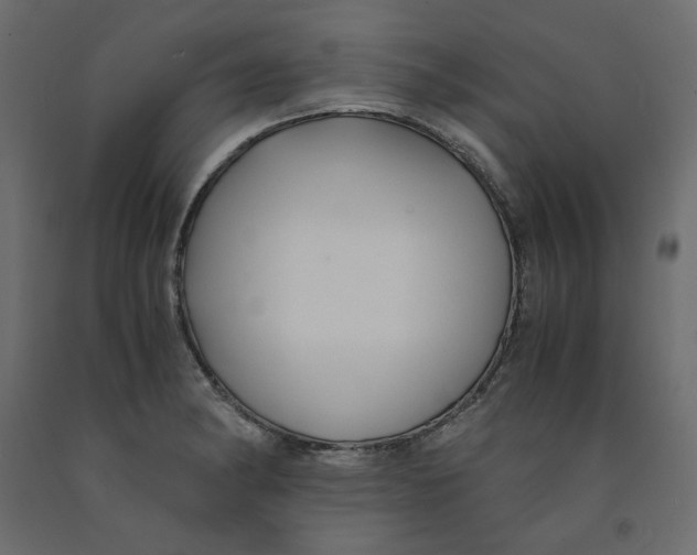 X0000091961182200710041022