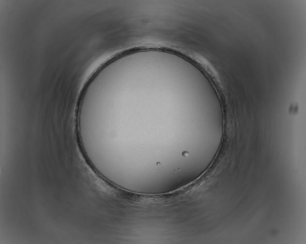 X0000091961183200710041022