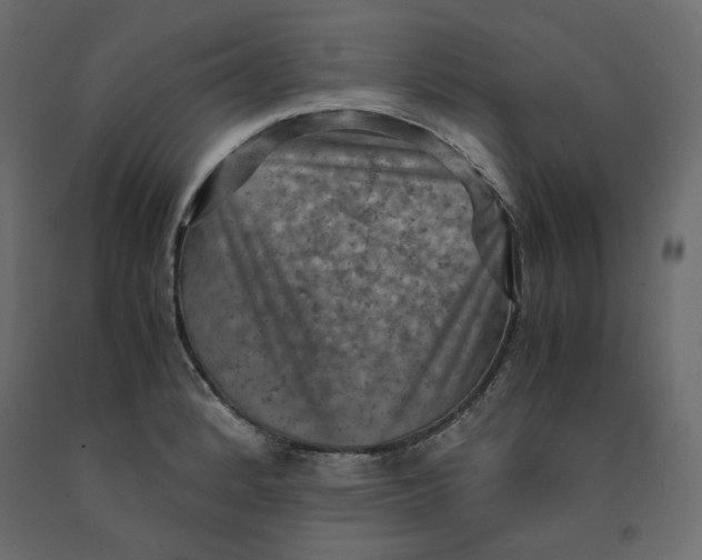 X0000091961184200710041022
