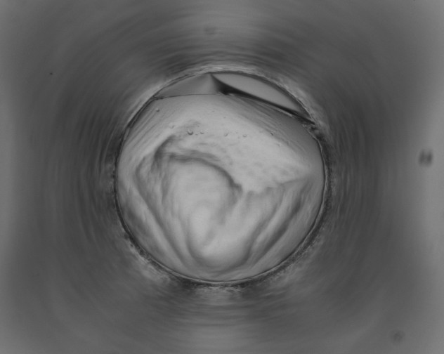 X0000091961185200710041022