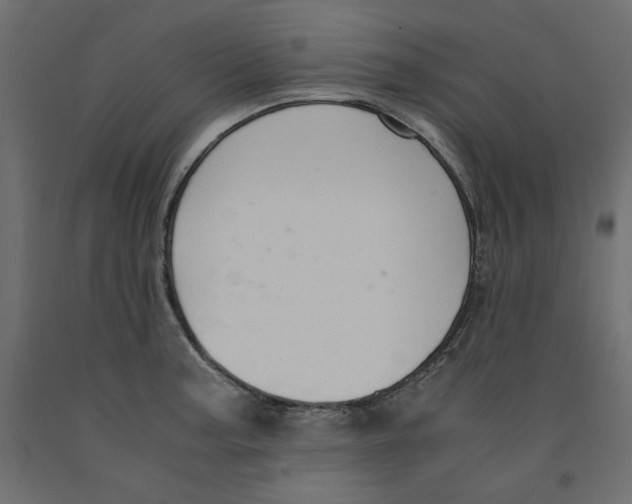 X0000091961187200710041022