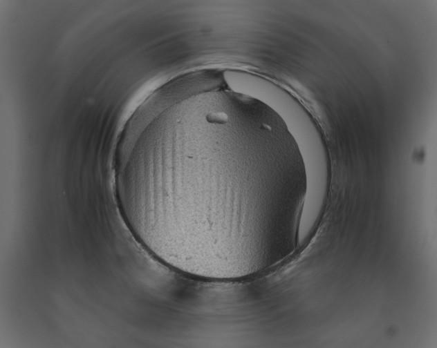 X0000091961188200710041022