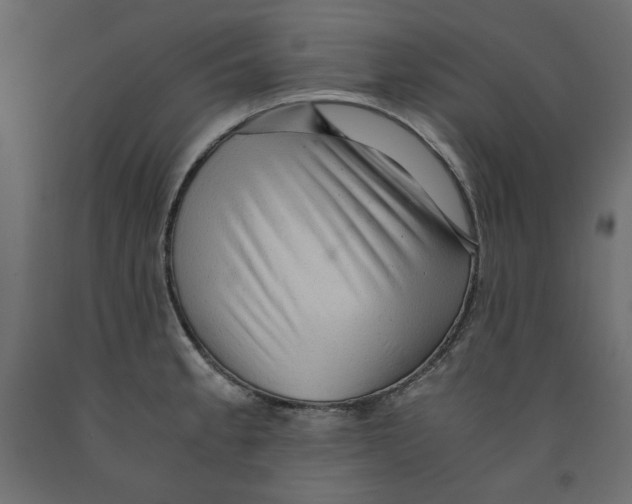 X0000091961189200710041022