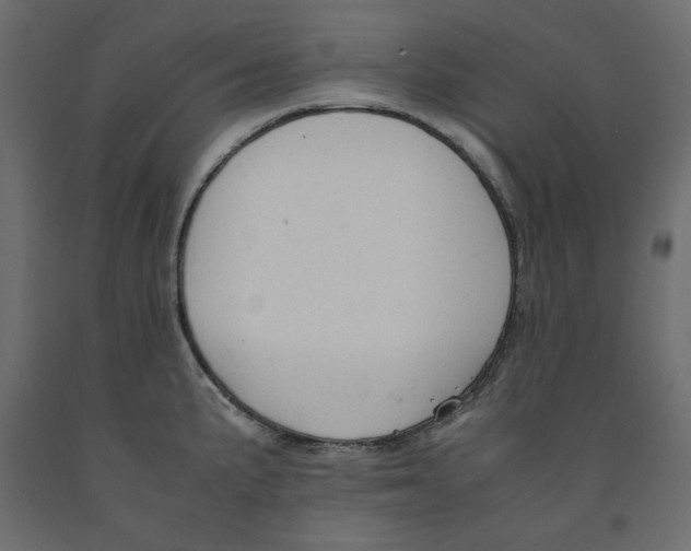 X0000091961191200710041022