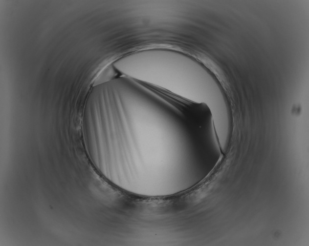 X0000091961193200710041022