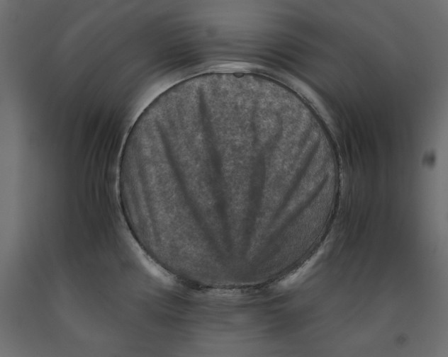 X0000091961194200710041022