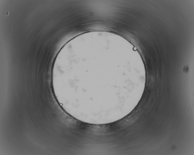 X0000091961195200710041022