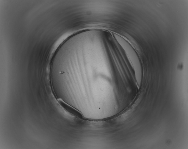 X0000091961196200710041022