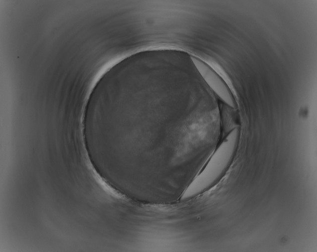 X0000091961197200710041022