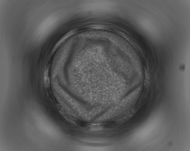 X0000091961198200710041022