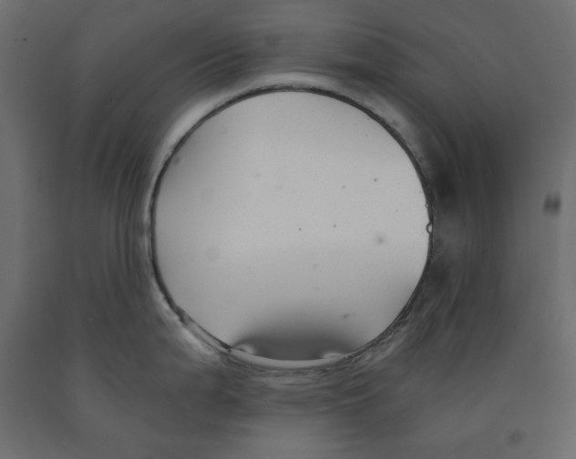 X0000091961199200710041022