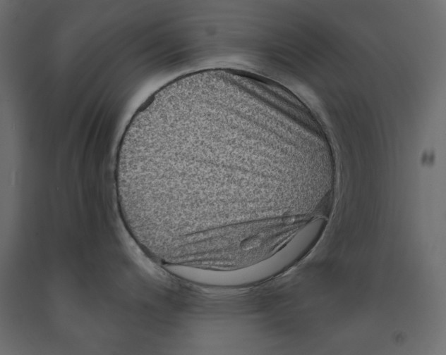 X0000091961200200710041022