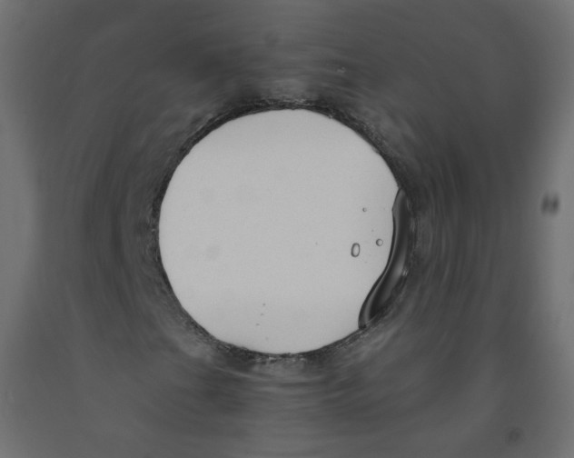 X0000091961201200710041021
