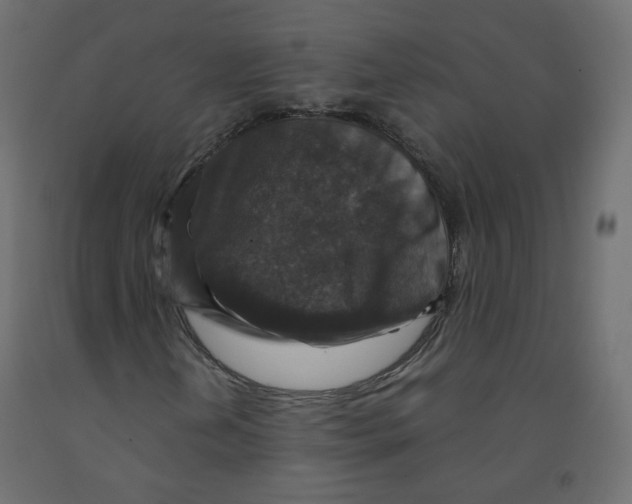X0000091961202200710041021