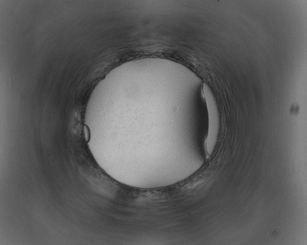 X0000091961203200710041021