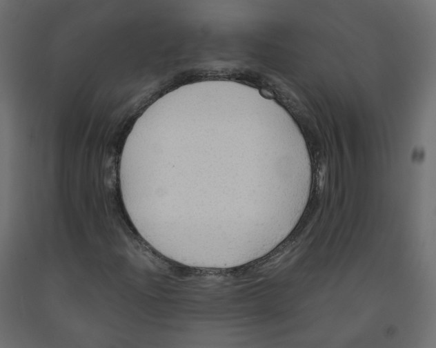 X0000091961204200710041021