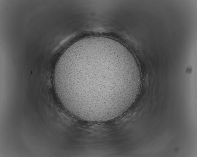 X0000091961205200710041021