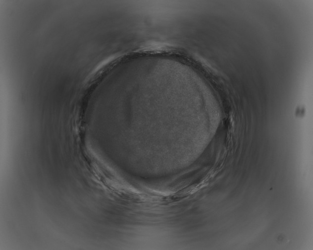X0000091961206200710041021