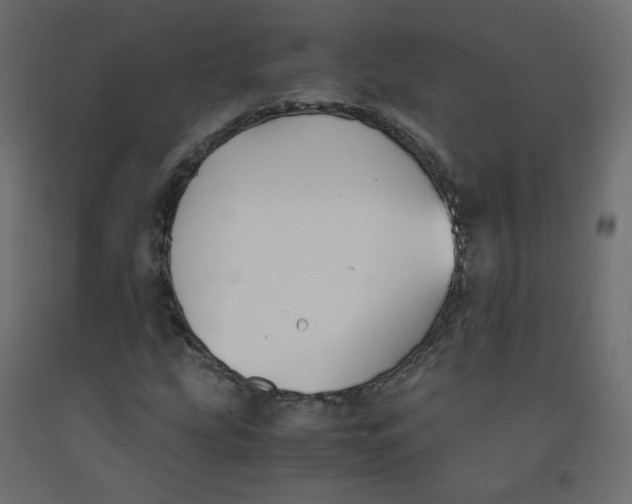 X0000091961207200710041021