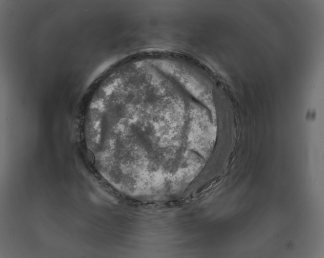 X0000091961208200710041021