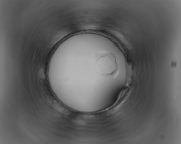 X0000091961209200710041021