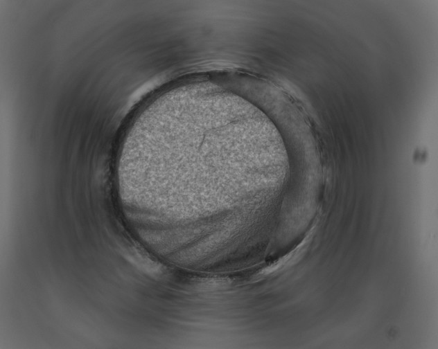 X0000091961210200710041021