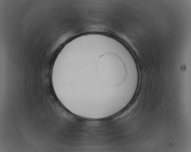 X0000091961211200710041021