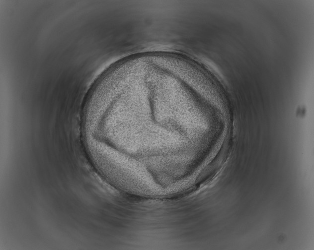 X0000091961212200710041021