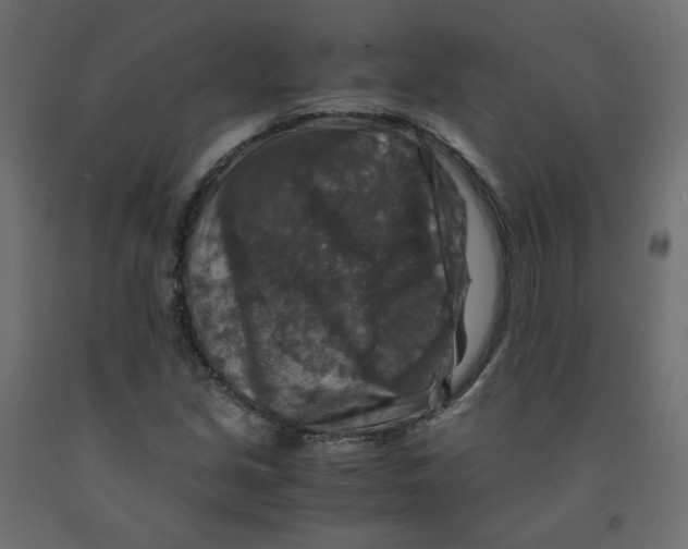 X0000091961213200710041021