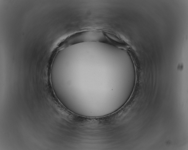 X0000091961214200710041021