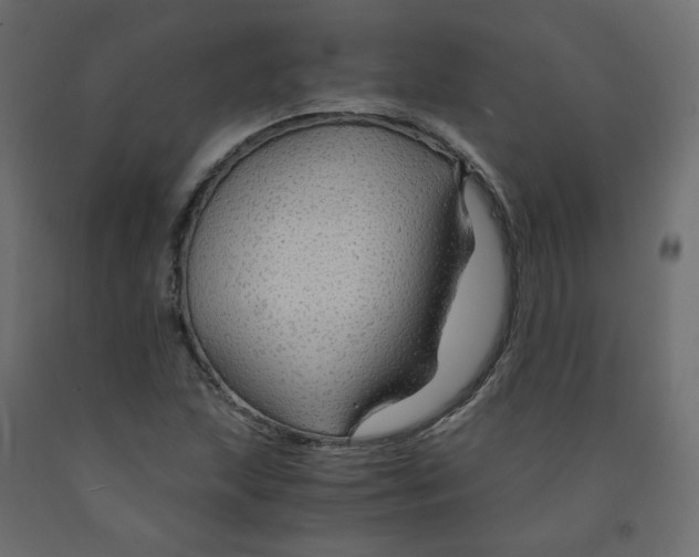 X0000091961215200710041021