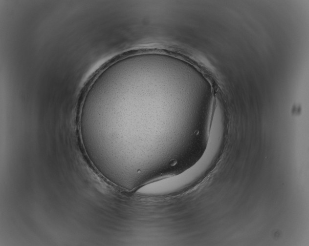X0000091961216200710041021
