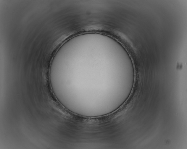 X0000091961217200710041021
