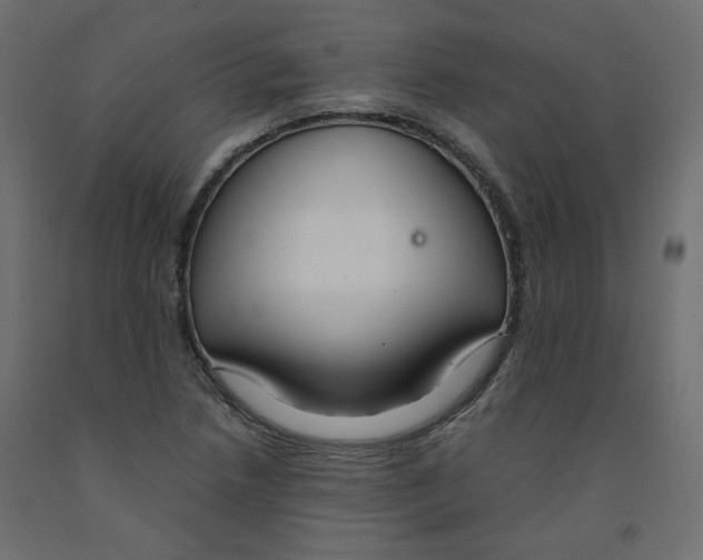 X0000091961218200710041021