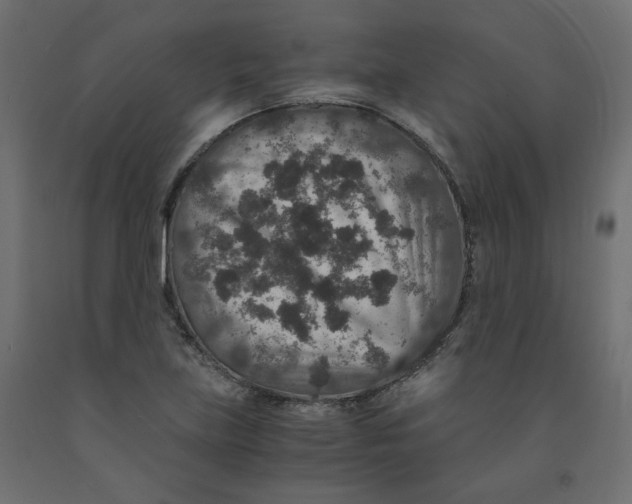 X0000091961219200710041022