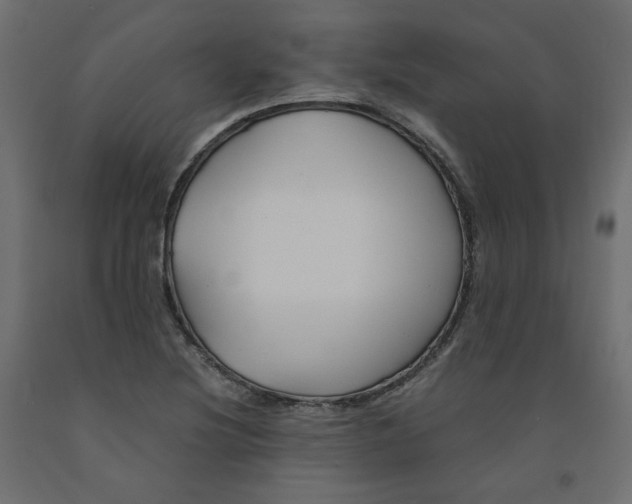 X0000091961220200710041022