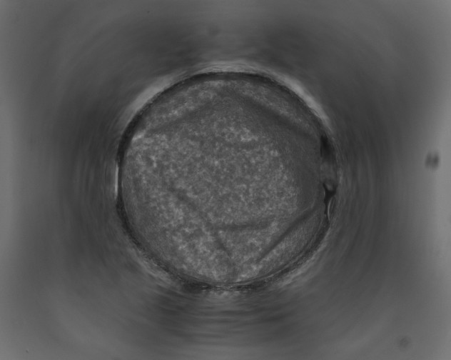 X0000091961221200710041022
